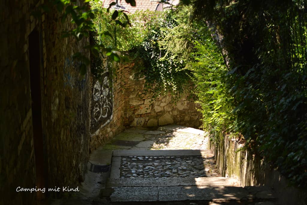 Der Weg zur Burg. Links und rechts befinden sich Pflanzen.