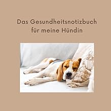 Ein Hund liegt auf einem Kissen.