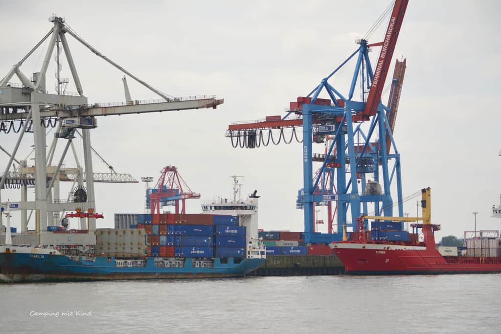 Kräne befinden sich im Hamburger Hafen. Davor stehen Container.