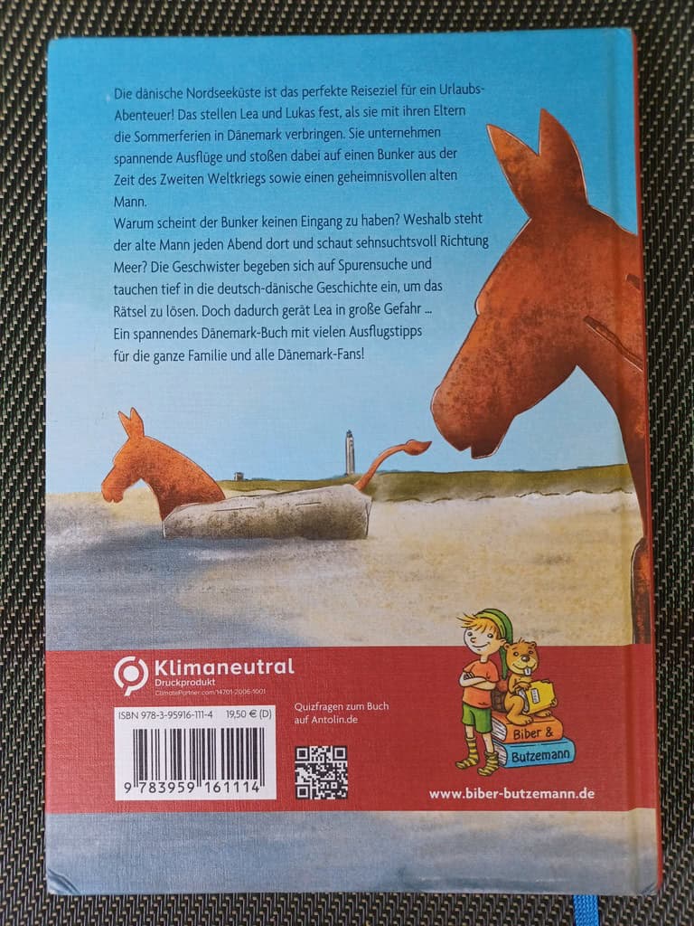 Rückseite vom Buch "Ein Sommer an der dänischen Nordsee"