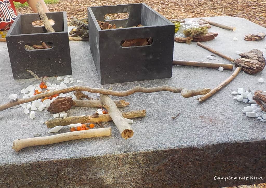 Verschiedene Naturmaterialien liegen auf einem Tisch.