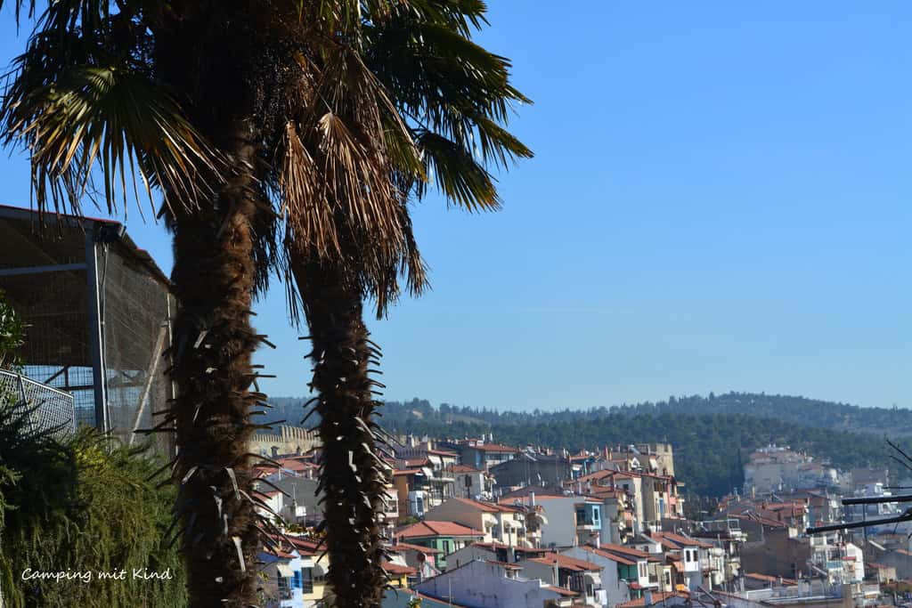 Palmen und ein Ausblick über eine Altstadt