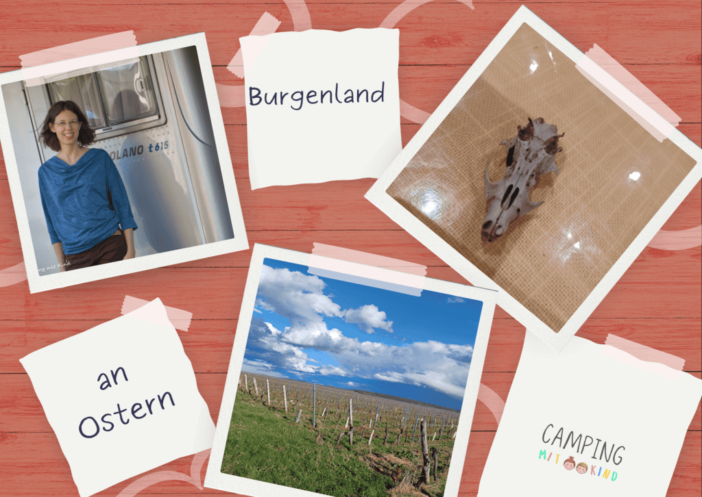 Bilder vom Burgenland