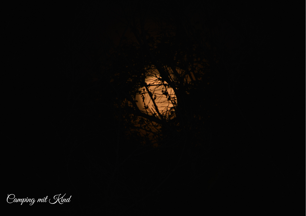Dunkle Nacht, in der Mitte leuchtet der Mond