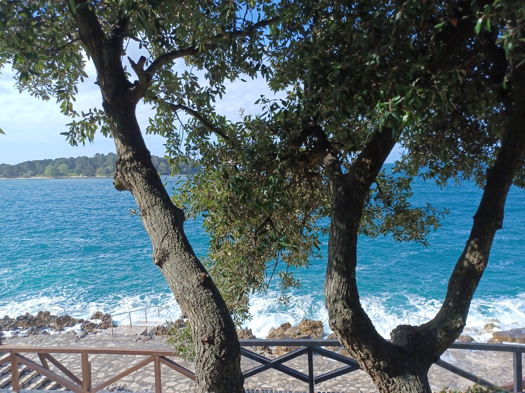 Vor dem blauen Meer befinden sich zwei Bäume