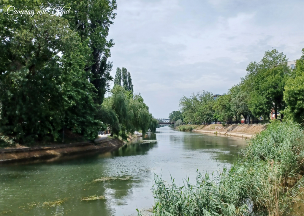 Ein Flussufer mit Bäumen und Sträucher