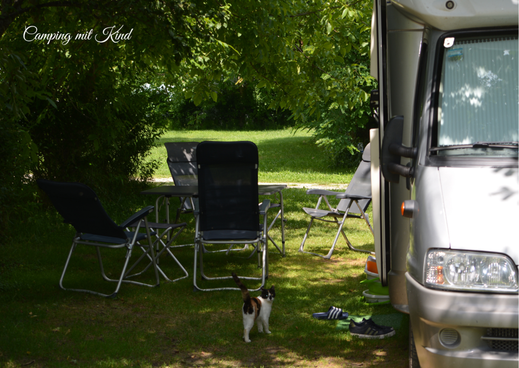 Ein Wohnmobil steht auf einer Wiese. Daneben stehen Campingsessel und ein Tisch. Eine Katze steht davor. Am Rand sind Büsche.
