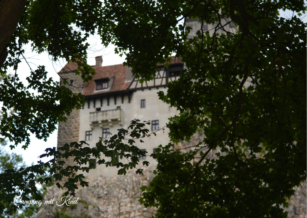 Hinter Blättern steht eine alte Burg. Das Dach besteht aus Schindeln.