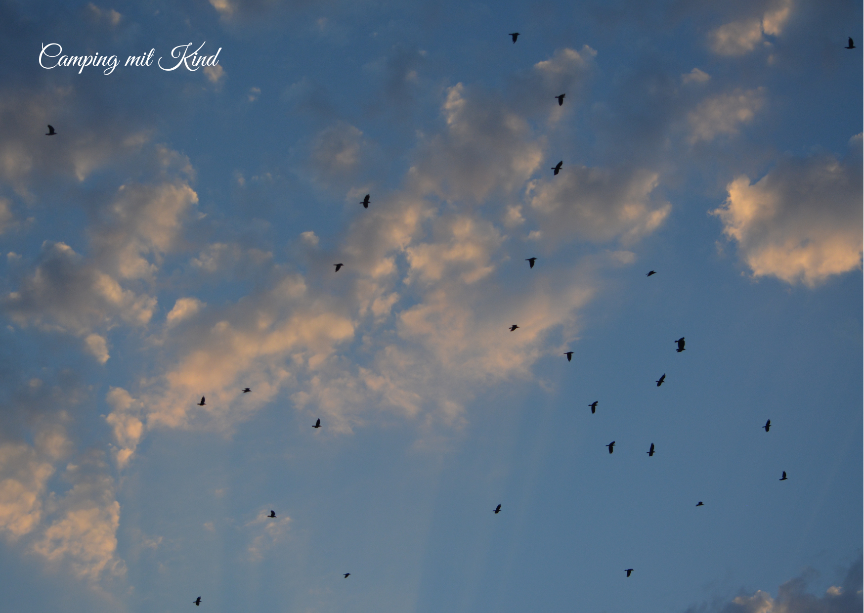 DEs ist Abenddämmerung. Am Himmel sind die letzten Sonnenstrahlen und Vögel zu sehen.