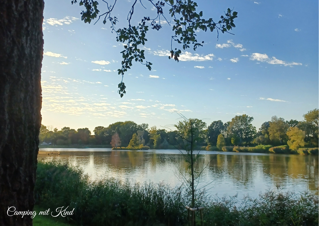 Links im Bild befindet sich ein Baum. Im Hintergrund sieht man einen ruhigen See.