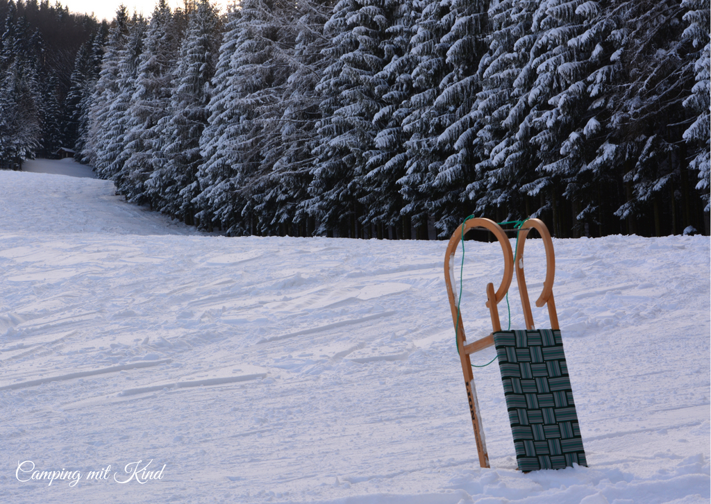 Eine Rodel steckt mitten im Schnee. Dahinter befindet sich ein Wald.