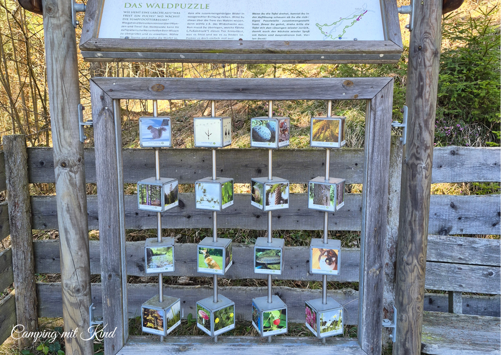 Ein Gerüst auf dem sich mehrere Würfel mit Tierabbildungen befinden.